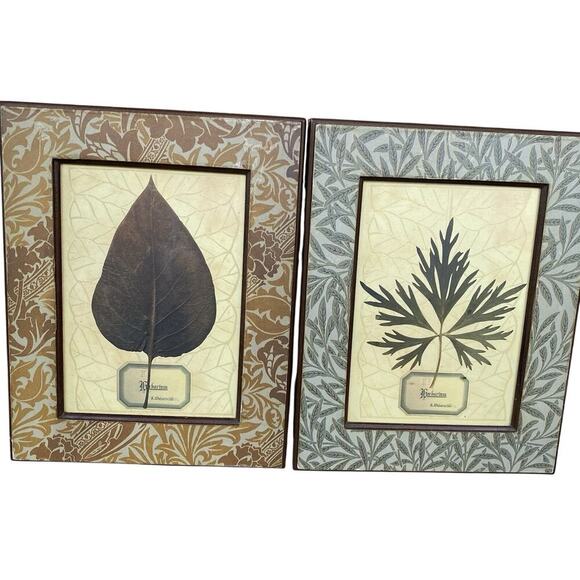 Vintage ArtPrint Of Herbarium 1880’s Botanical Leaves Maple & Daisy Set Of 2 - Picture 1 of 9